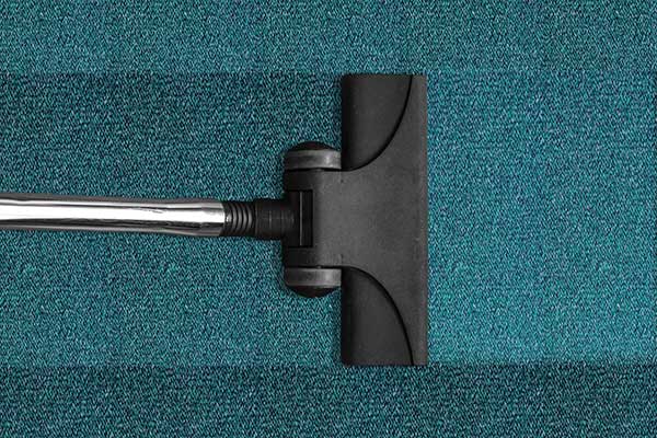 Professional Cleaners Everclean Carpet
